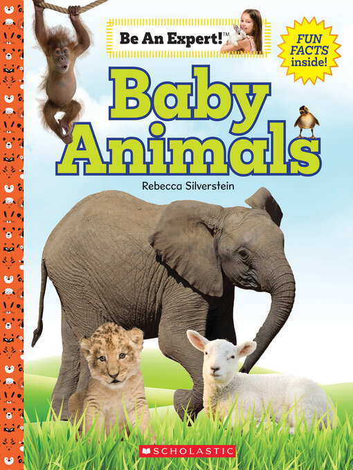 Title details for Baby Animals by Rebecca Silverstein - Wait list